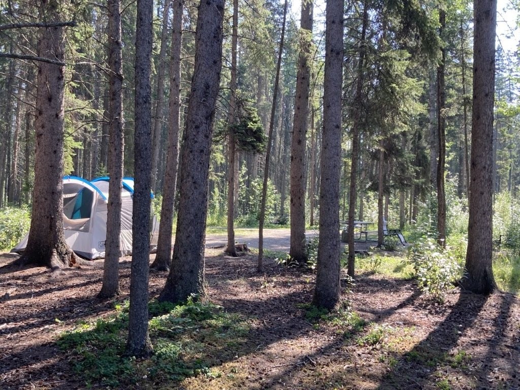 Tent among the trees in a campground