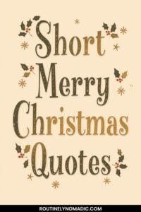 Short Christmas quotes pin