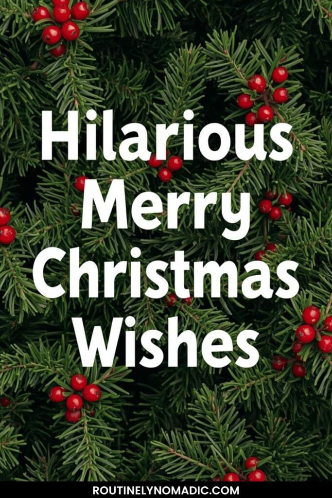 Funny Christmas Wishes