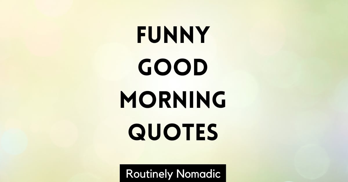 Funny Good Morning Quotes and Sayings to Start the Day | Routinely Nomadic