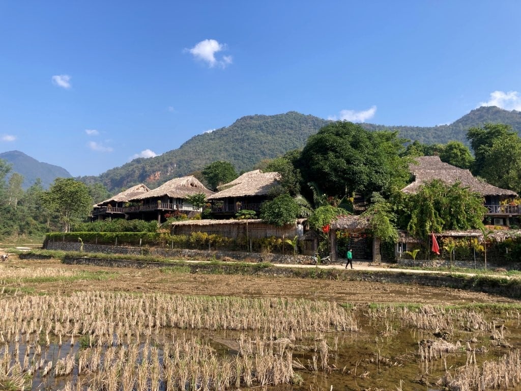 Harvested rice fields in front of a set of huts