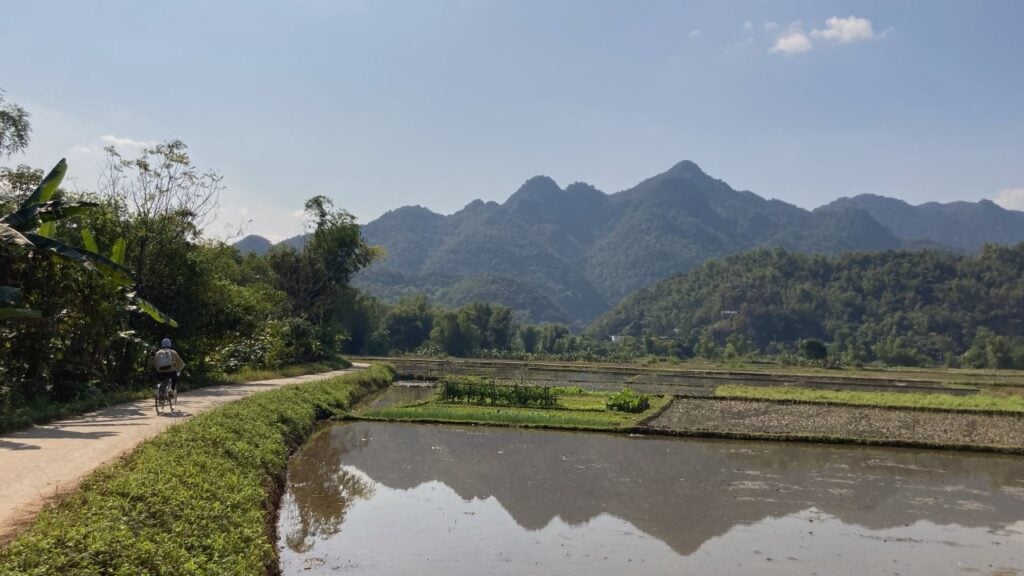 Biker near rice fields in Mai Chau Vietnam