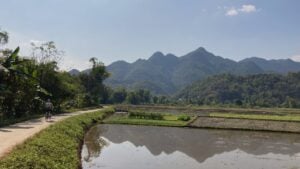 Biker near rice fields in Mai Chau Vietnam