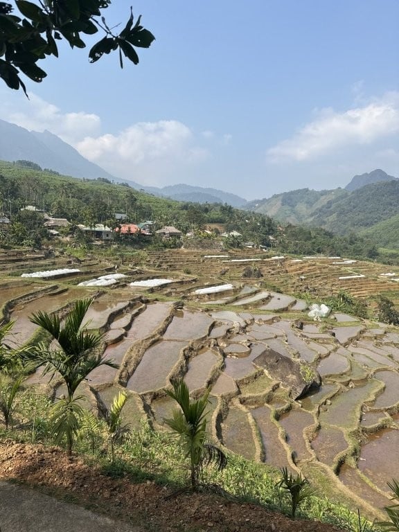 Terraced rice fields flooded with water