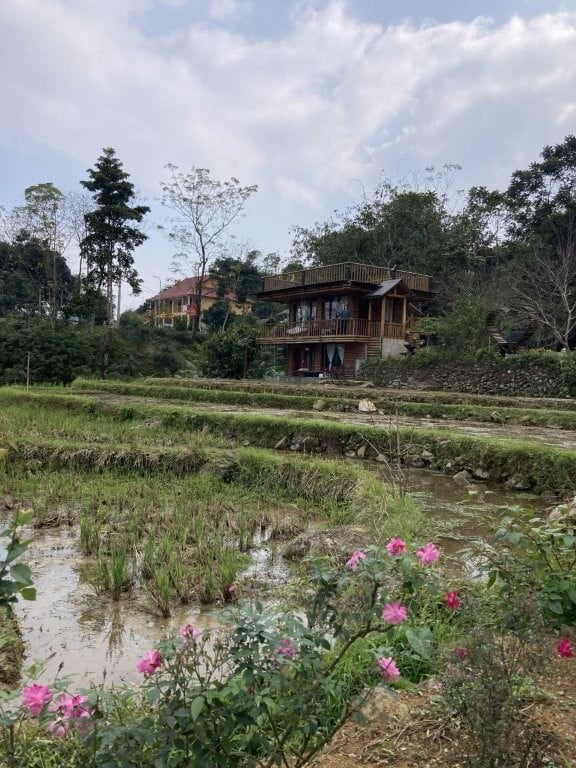 Rice fields in front of a lodge