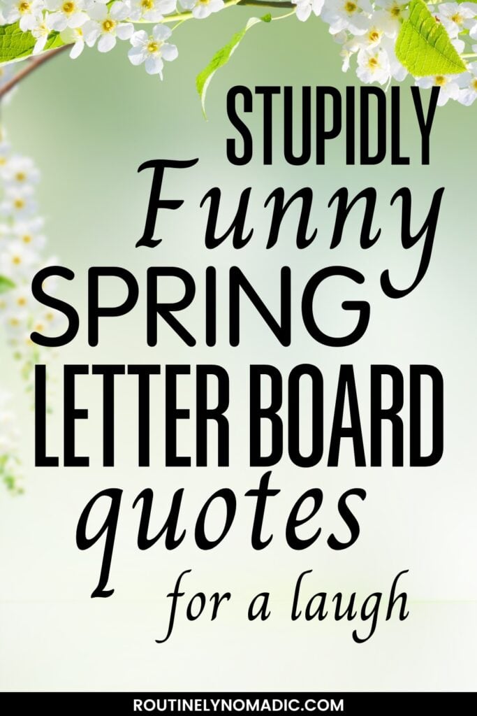 Funny spring letter board quotes and sayings