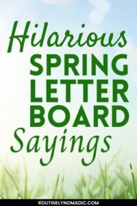 Funny spring letter board quotes and sayings