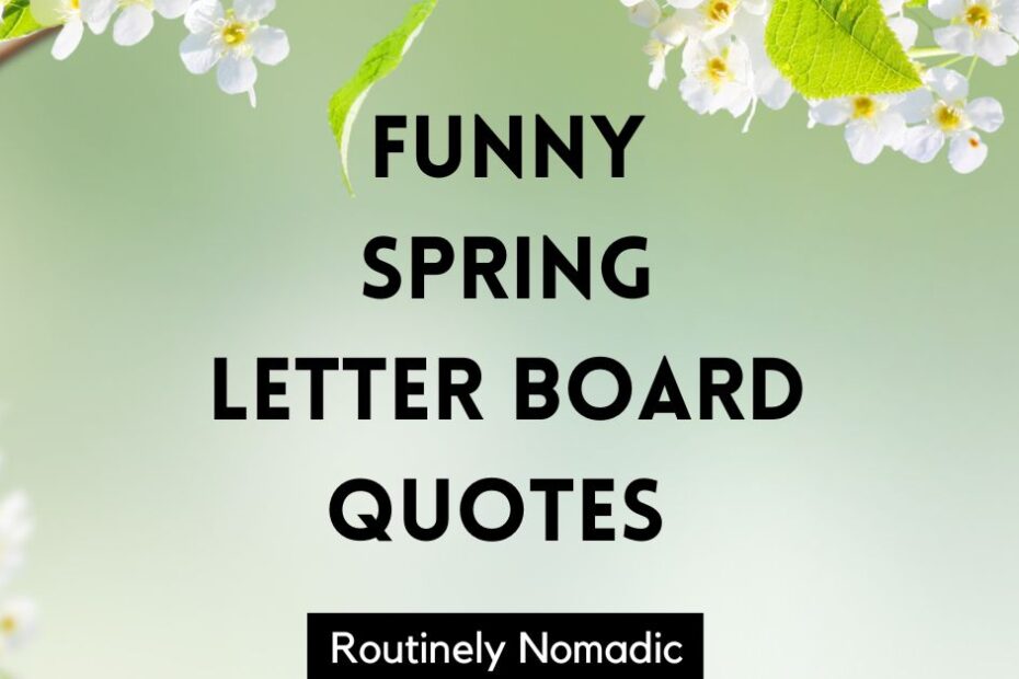 Funny spring letter board quotes and sayings