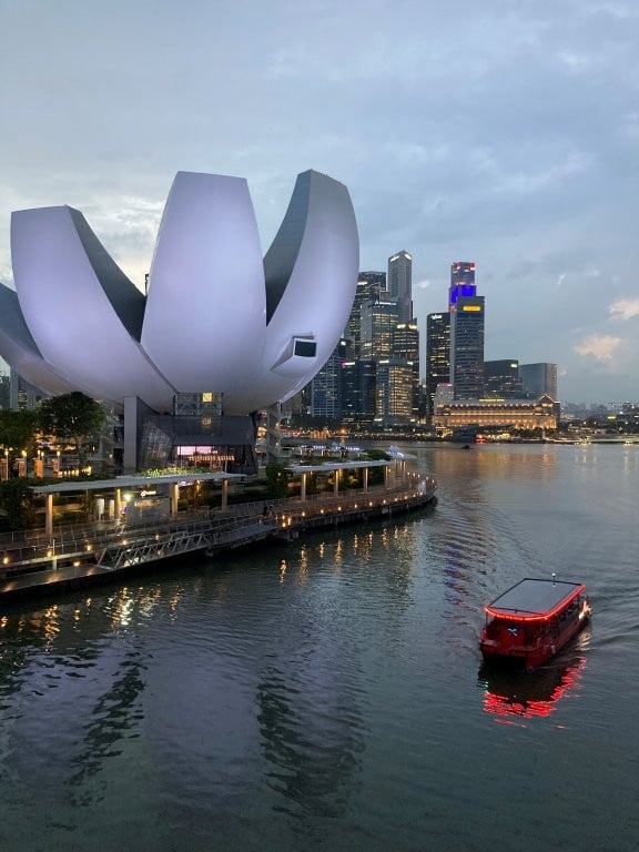 Singapore ArtScience Centre and boats in harbour