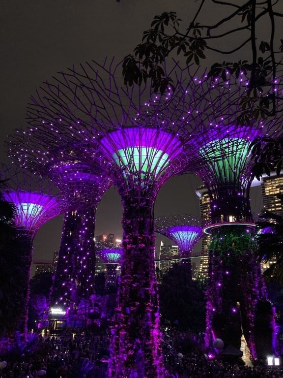 Purple "supertrees" in Singapore Gardens by the Bay