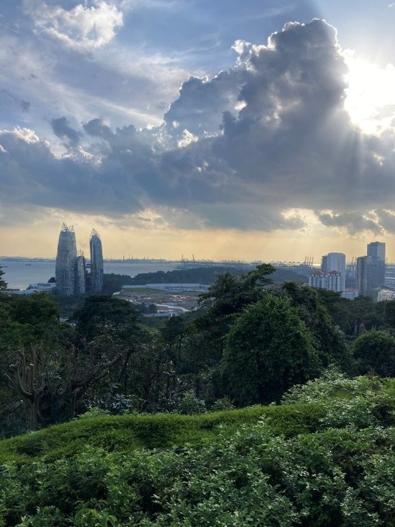 View of forest, buildings and the bay at sunset