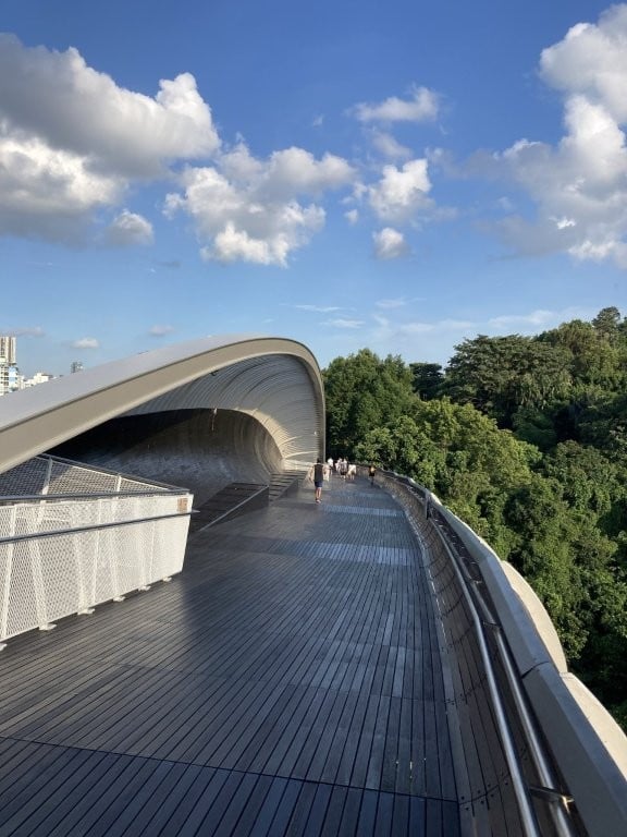 Futuristic bridge next to forest