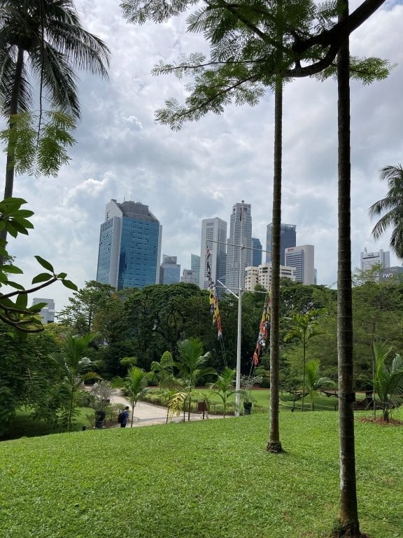 Green park and palm trees on a Singapore walking itinerary