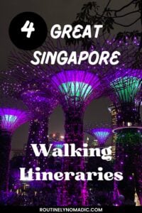 Photo of Singapore SuperTree Grove with Pinterest title