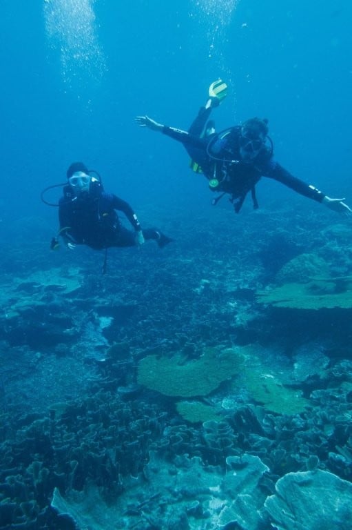 Divers underwater in Raja Ampat