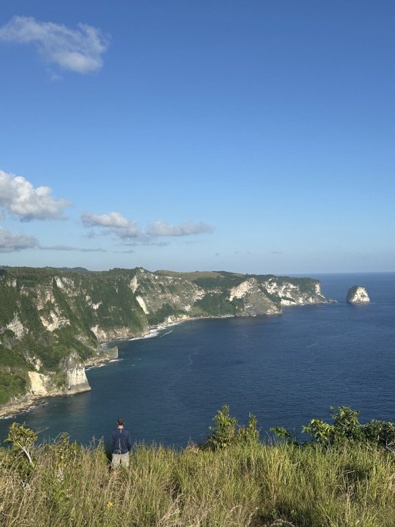 Man standing in tall grass overlooking coast cliffs