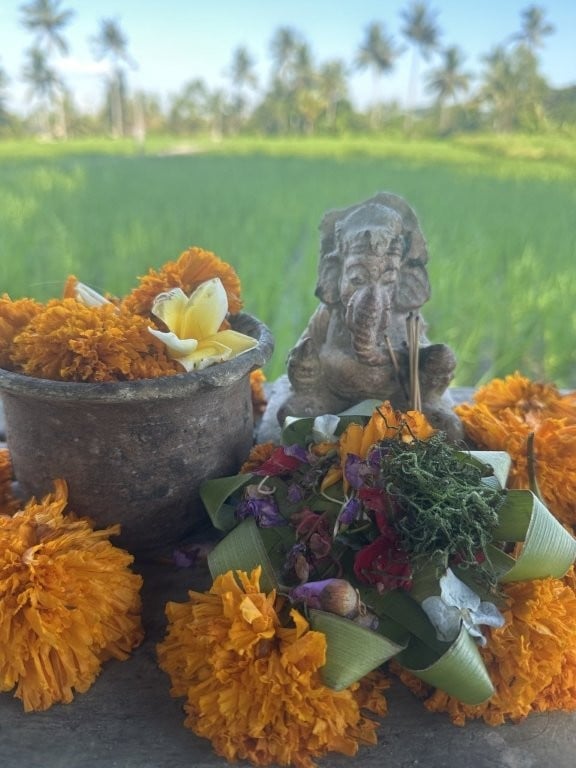Flowers and Hindu shrine near rice fields