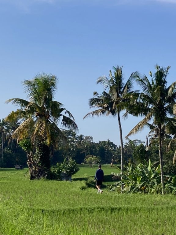 Man walking among the rice fields of Bali