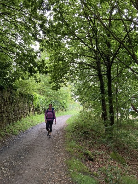 Woman hiking on dirt path through the forest