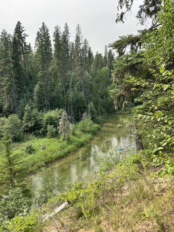 Winding river in the forest