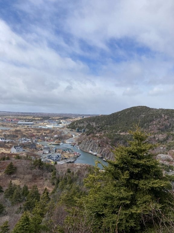 View of a lake and village from top of a forested hill