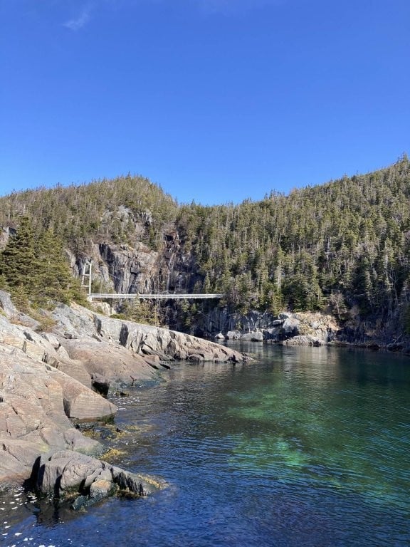 Clear blue water and a suspension bridge near the forest