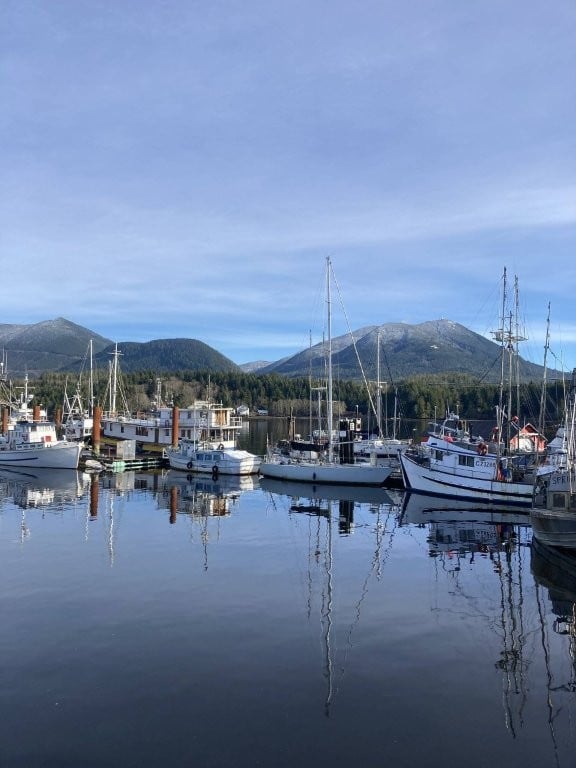 Sailboats docked in Tofino harbour