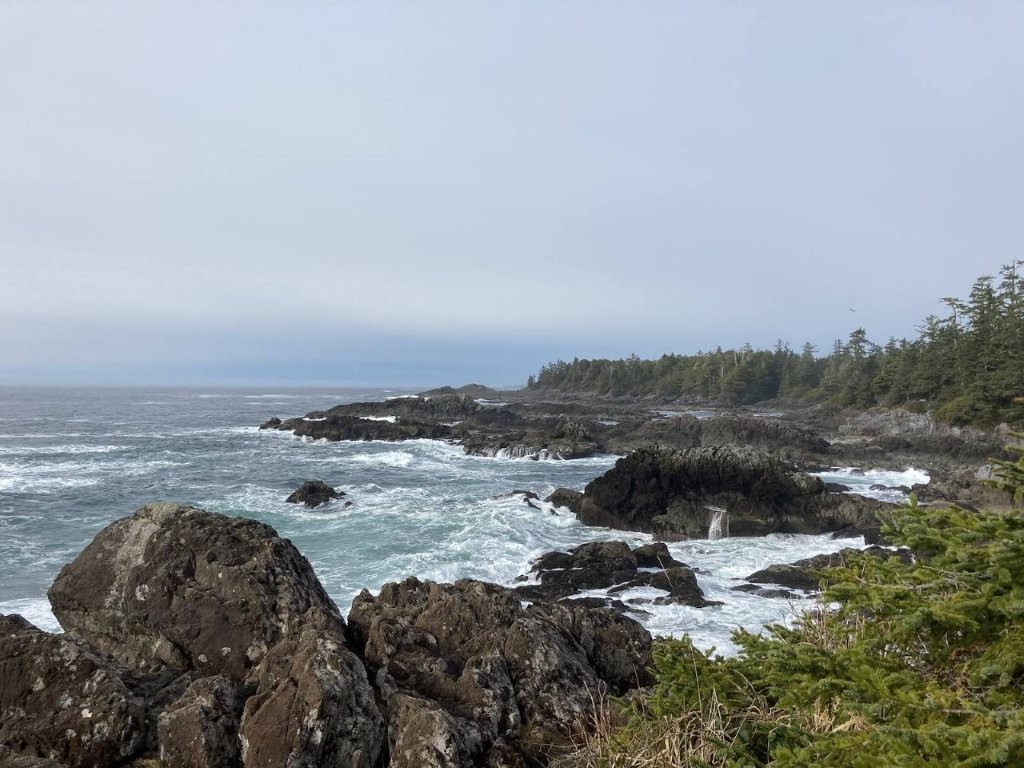 Rocky coastline near Tofino BC