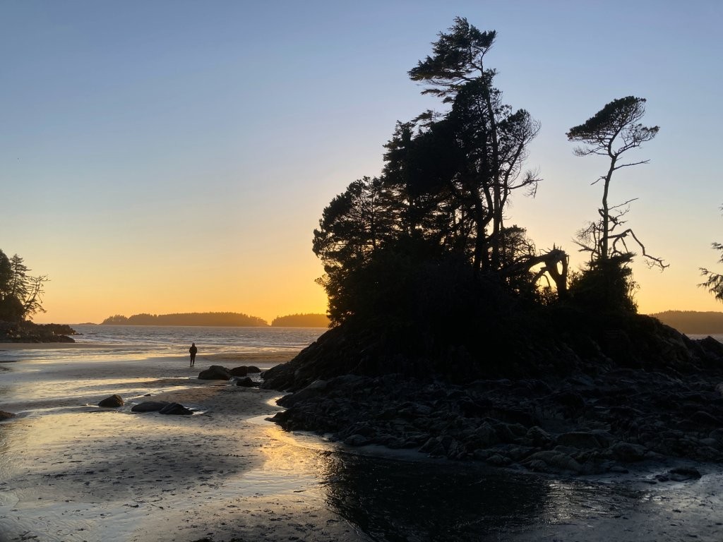 Small islet covered in trees at sunset
