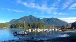 Calm harbour with boats and green hills behind