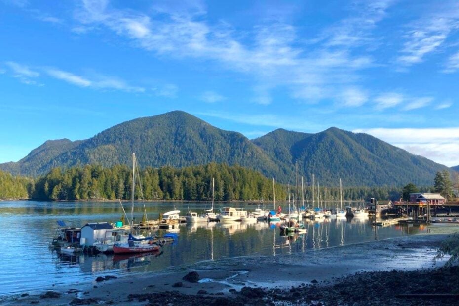 Calm harbour with boats and green hills behind