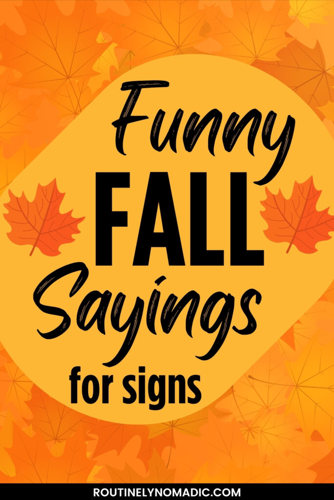 Funny Fall Sayings for signs