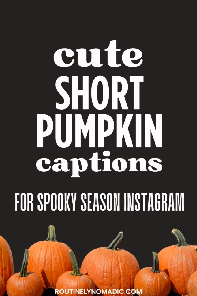 Short Pumpkin Captions for Instagram