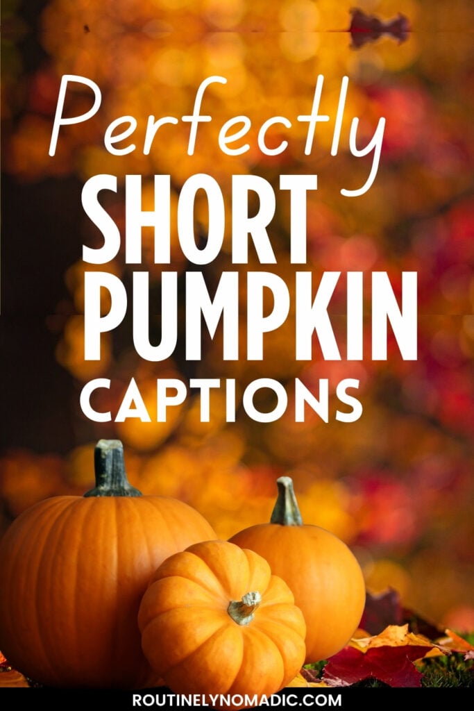 Short Pumpkin Captions for Instagram