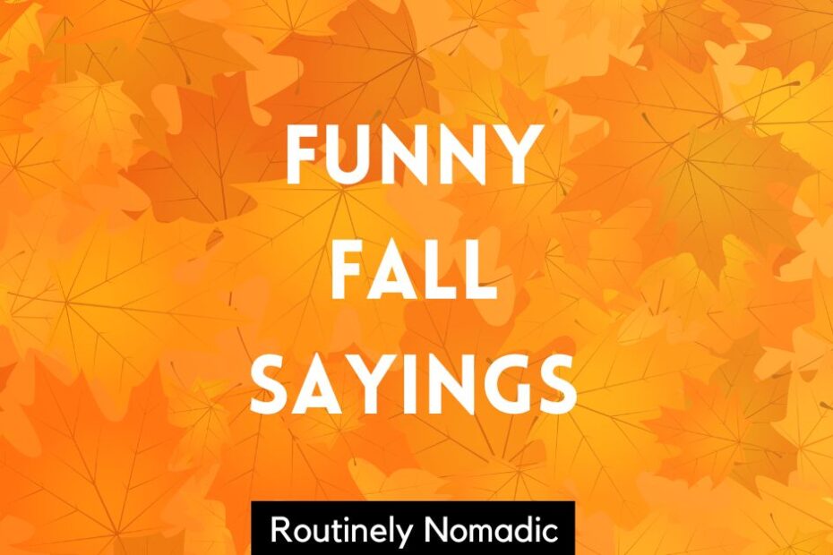 Funny Fall Sayings for signs