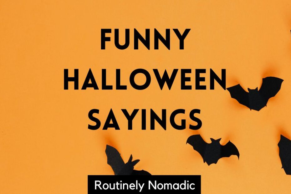 Funny Halloween Sayings for signs