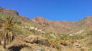 Palm trees and small village in a rocky valley on La Gomera