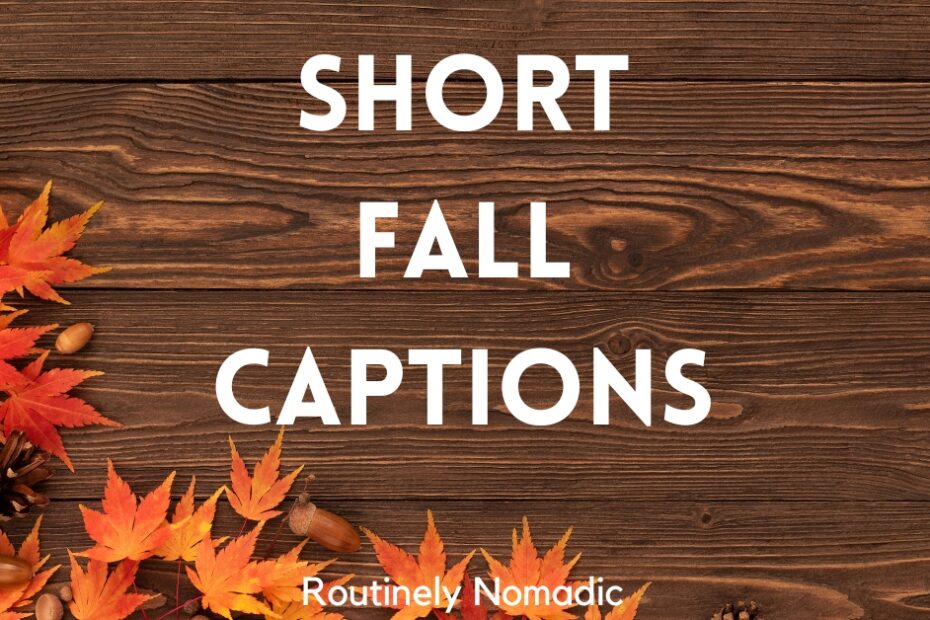 Short Fall captions for Instagram