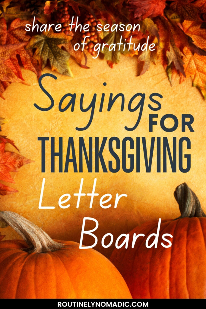 Happy Thanksgiving Letter Board Quotes
