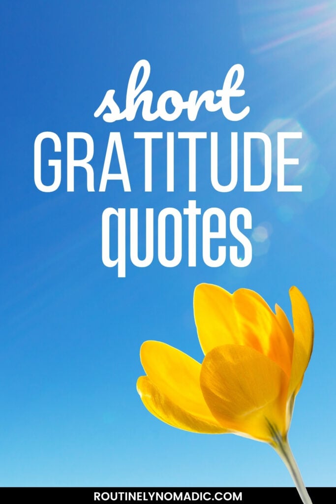 short gratitude quotes