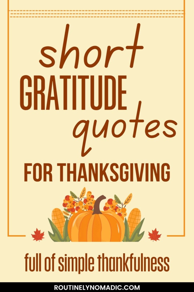 short gratitude quotes