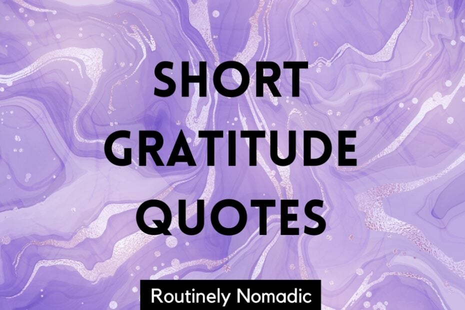 short gratitude quotes
