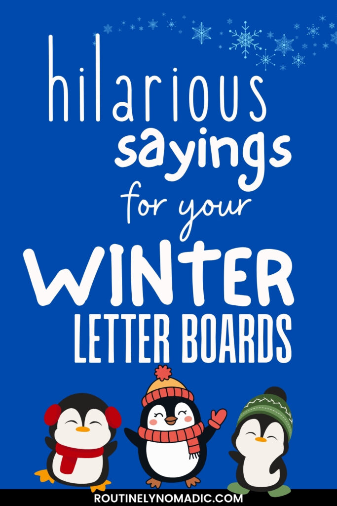 hilariously funny winter letter board quotes and sayings
