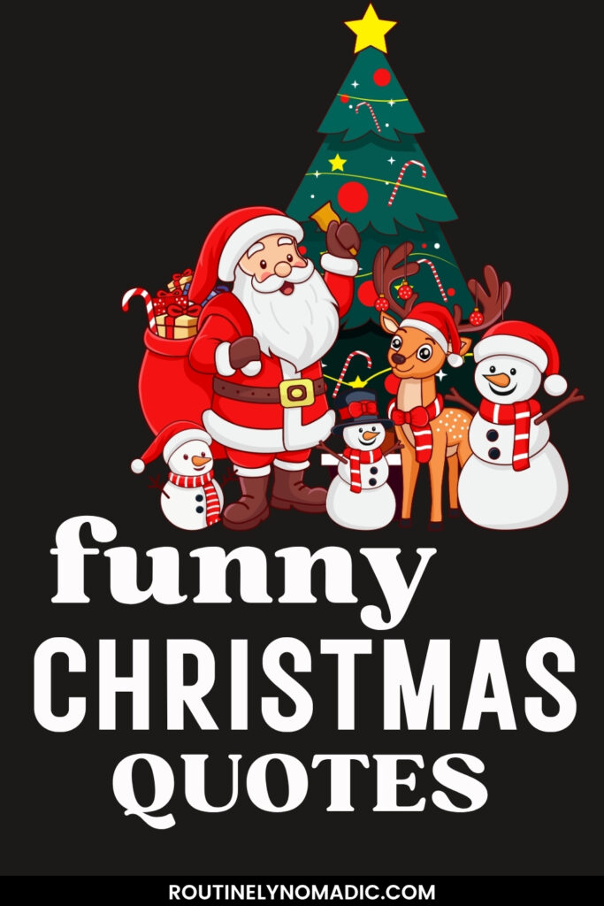 Hilariously Funny Christmas Quotes