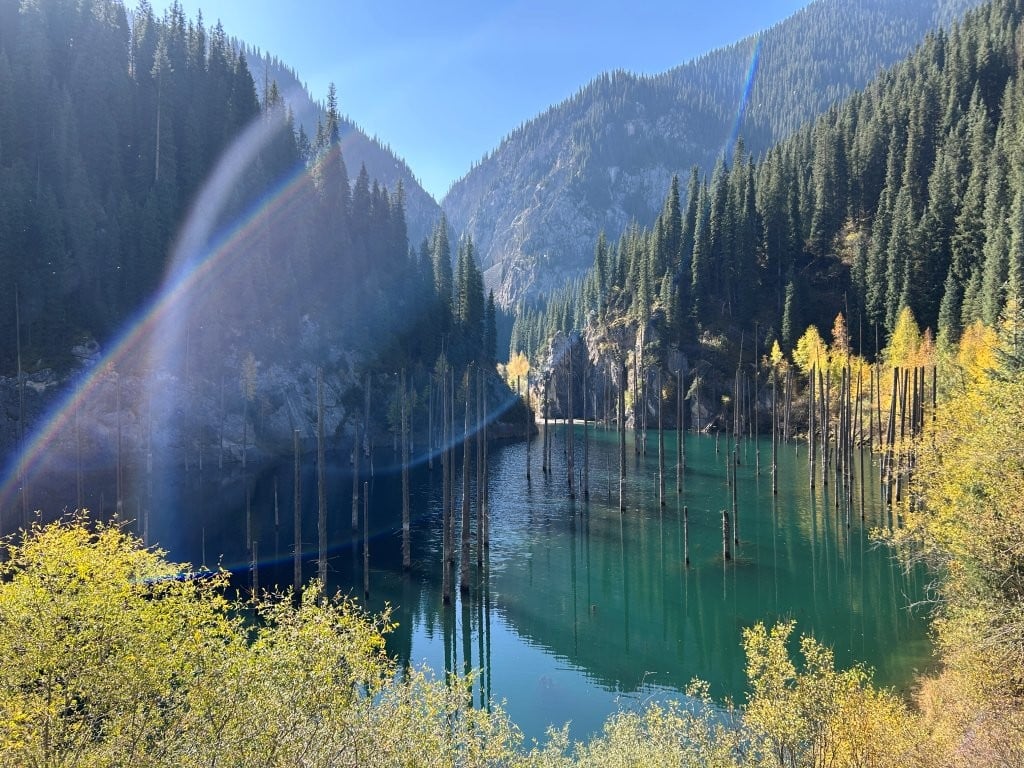 Lake full of trees surrounded by forest with changing leaves