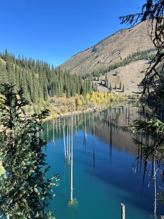 Ancient dead trees of Kaindy Lake in Kazakhstan
